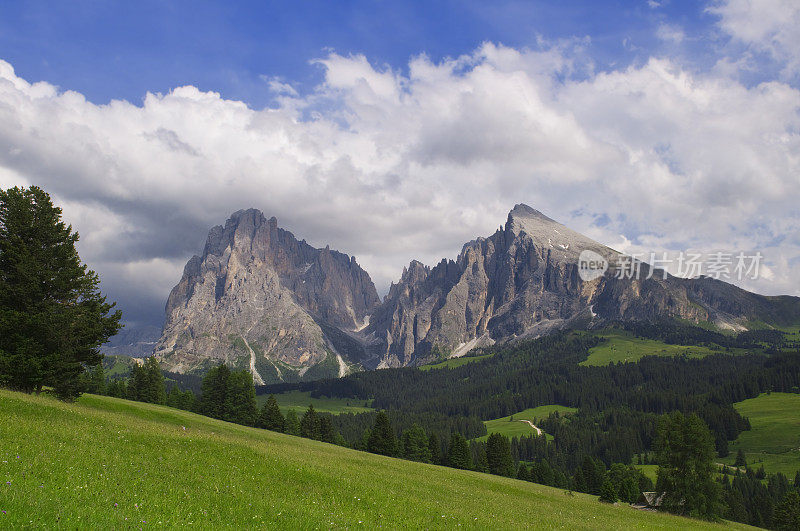 Alpe di Siusi, Dolomites，南蒂罗尔，意大利